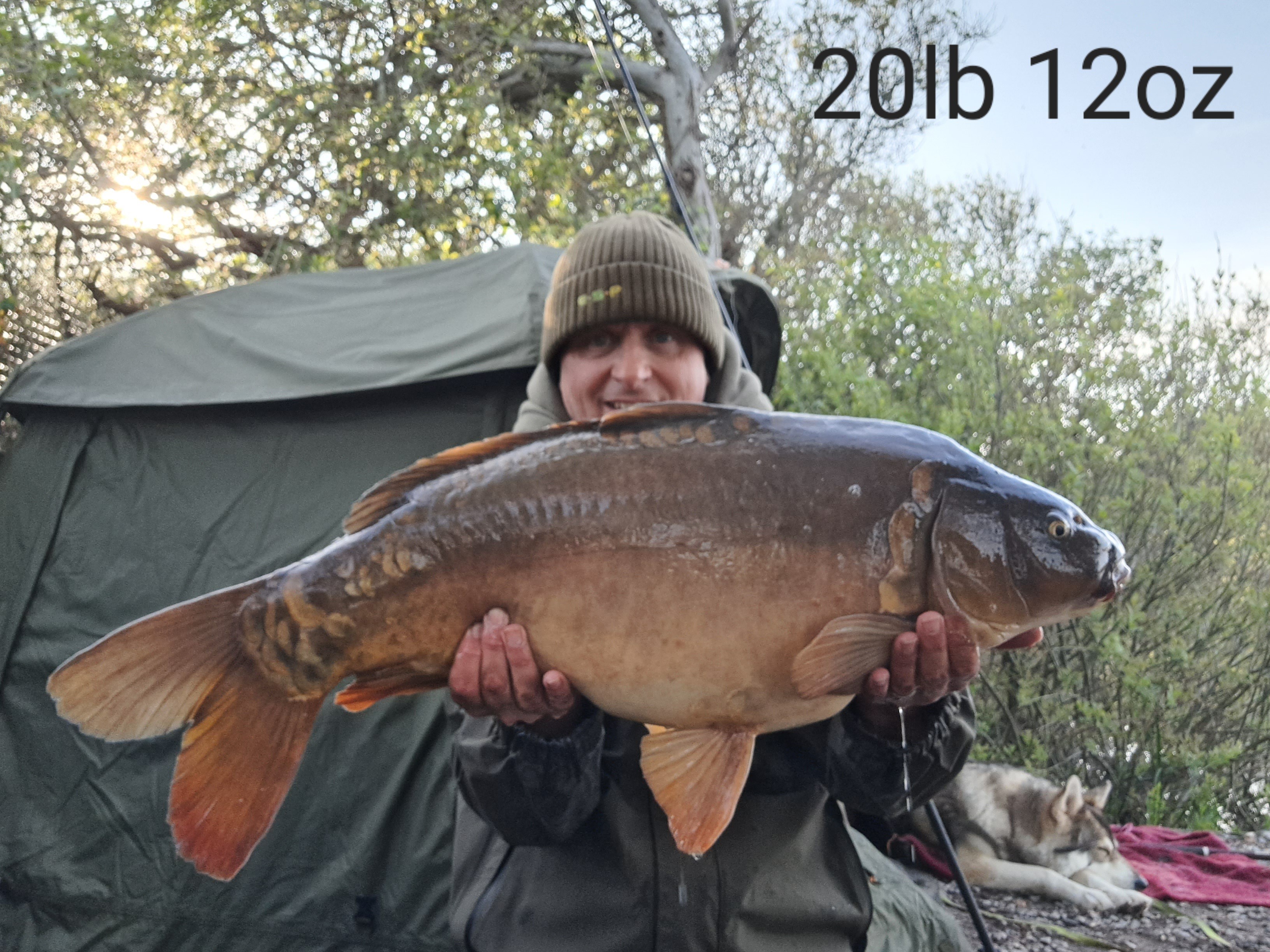 Early morning Mirror | Total Carp